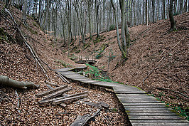 Bernhard Saalfeld - Tretschbachtal (3v9)